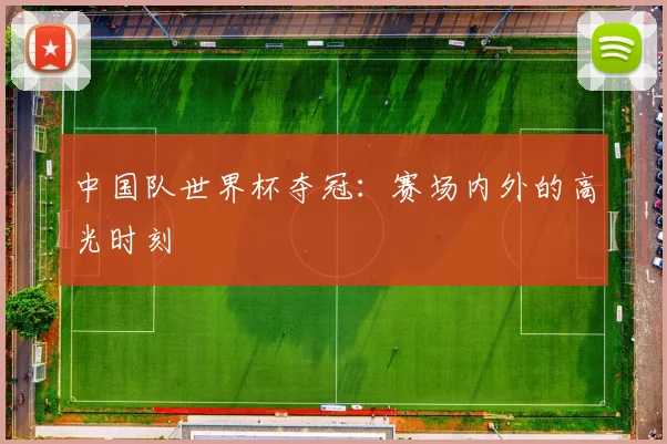 中国队世界杯夺冠:赛场内外的高光时刻