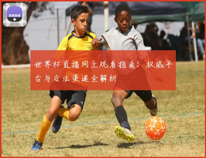 世界杯直播网上观看指南：权威平台与合法渠道全解析