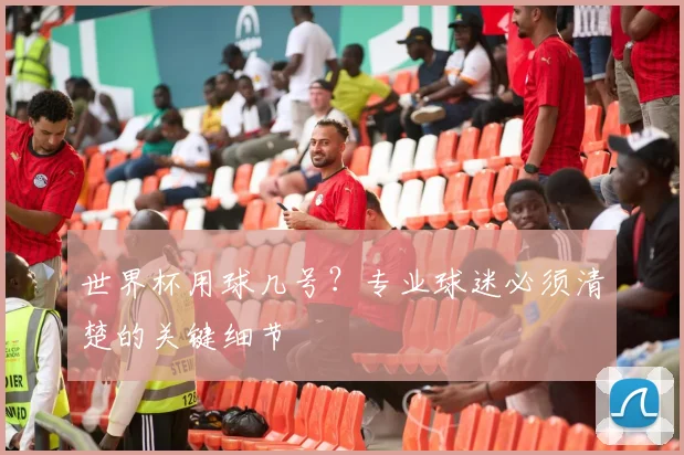世界杯用球几号?专业球迷必须清楚的关键细节