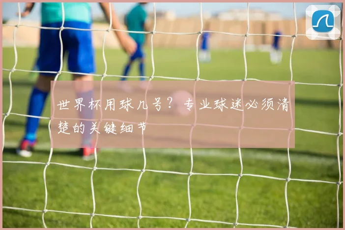 世界杯用球几号?专业球迷必须清楚的关键细节