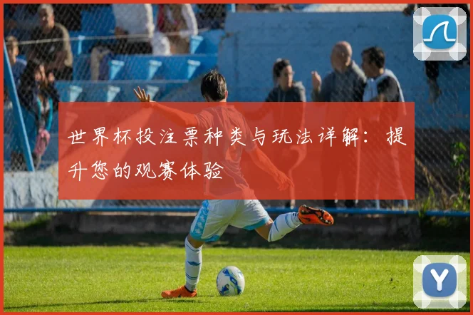 世界杯投注票种类与玩法详解：提升您的观赛体验