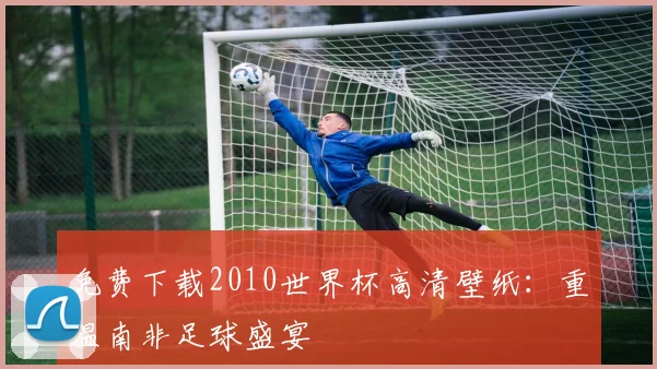 免费下载2010世界杯高清壁纸：重温南非足球盛宴