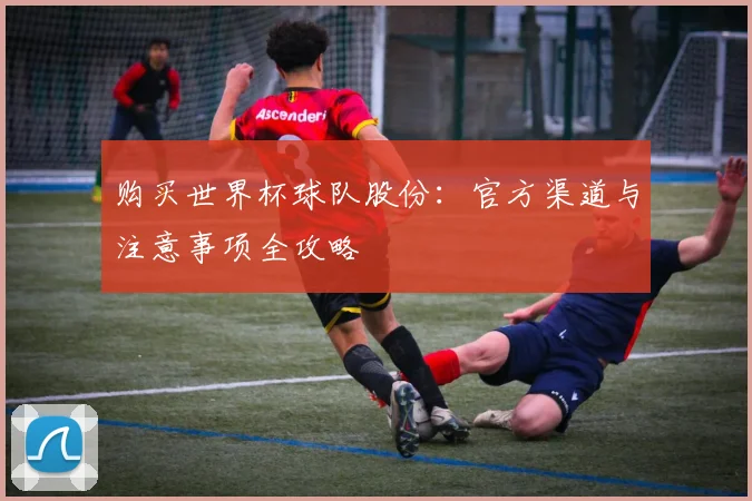 购买世界杯球队股份：官方渠道与注意事项全攻略